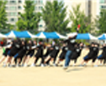 조리디자인과